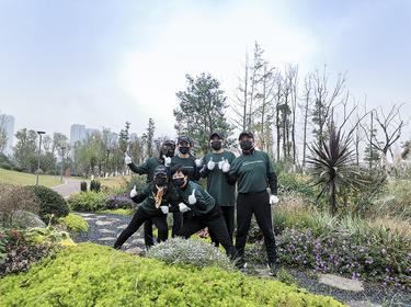 Six team members work outside during IMPACT Day 2020